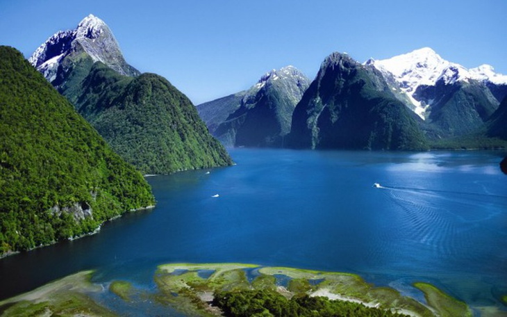 Zbiórka Wyjazd do nowej zelandii - zdjęcie główne