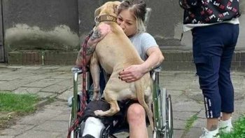 Zbiórka 💔Pomoc dla naszej wolontariuszk - miniaturka zdjęcia