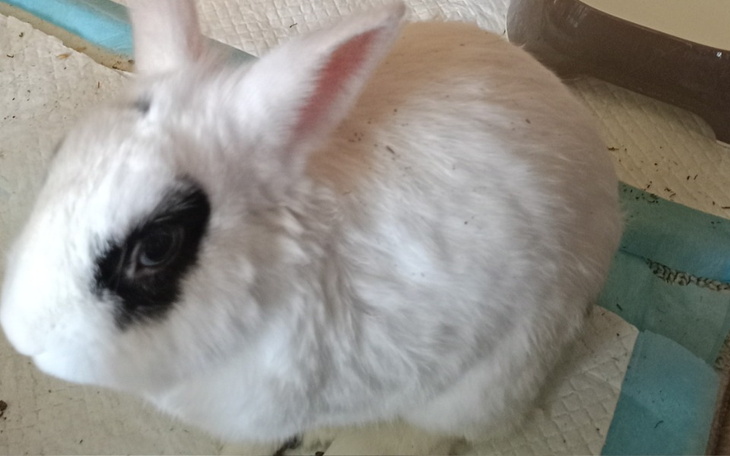 Zbiórka Leczenie dla Karolka - zdjęcie główne