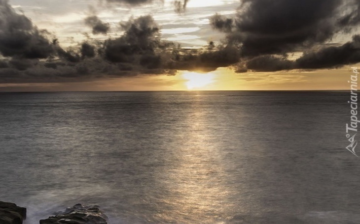 Zbiórka Pilna spłata kredytu Proszę - zdjęcie główne