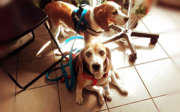 Zbiórka Druga operacja Roksany - zdjęcie główne