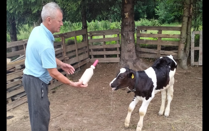 Zbiórka Pomoc dla chorujących zwierząt - zdjęcie główne