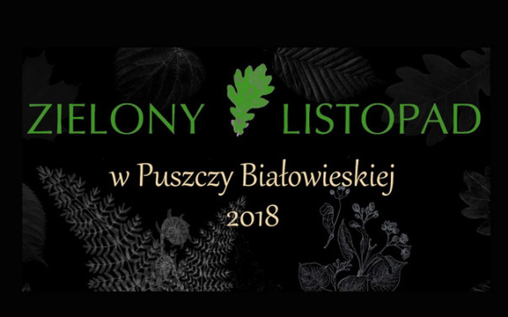 Zbiórka Zielony Listopad 2018 - zdjęcie główne