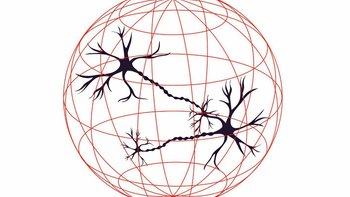 Zbiórka Fundacja NeuroPlaneta - miniaturka zdjęcia