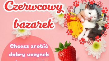 Zbiórka Czerwcowy Bazarek 26 - miniaturka zdjęcia