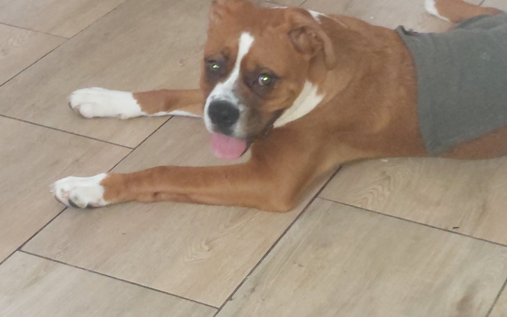 Zbiórka Walkę z paraliżem i niedowładem - zdjęcie główne