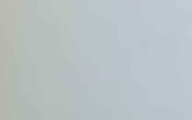 Rozmyty obraz, brak wyraźnych detali.