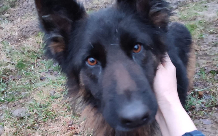 Zbiórka Ezra - kolejna bezdomna bieda - zdjęcie główne