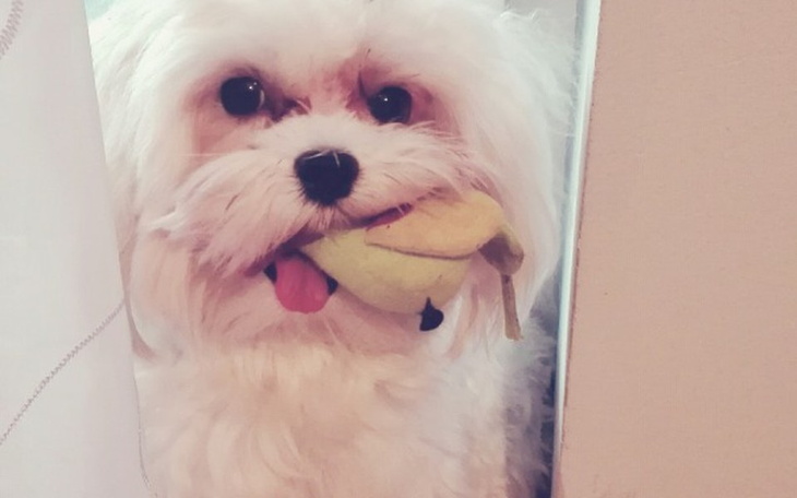 Zbiórka Każdy z Nas, chce widzieć świat - zdjęcie główne