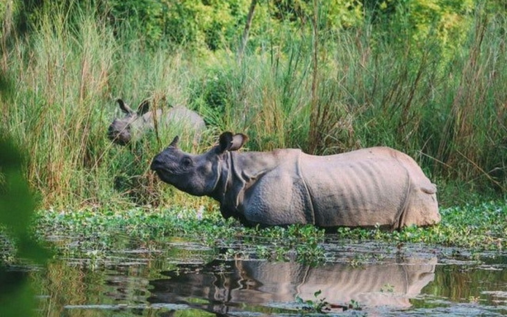 Zbiórka Pomoc przyjacielowi z Nepalu - zdjęcie główne