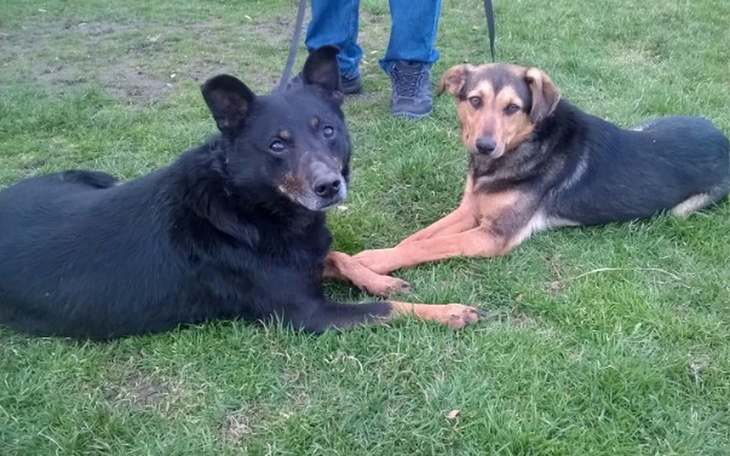 Zbiórka Wspólne życie Waltera i Johnego - zdjęcie główne