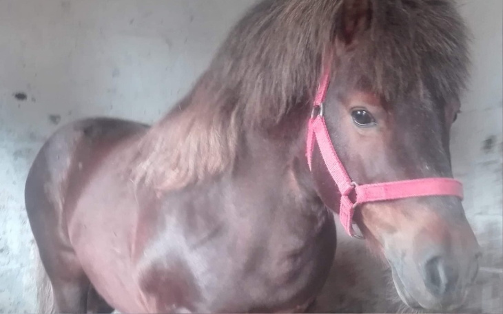 Zbiórka Kazik skazany na śmierć - zdjęcie główne