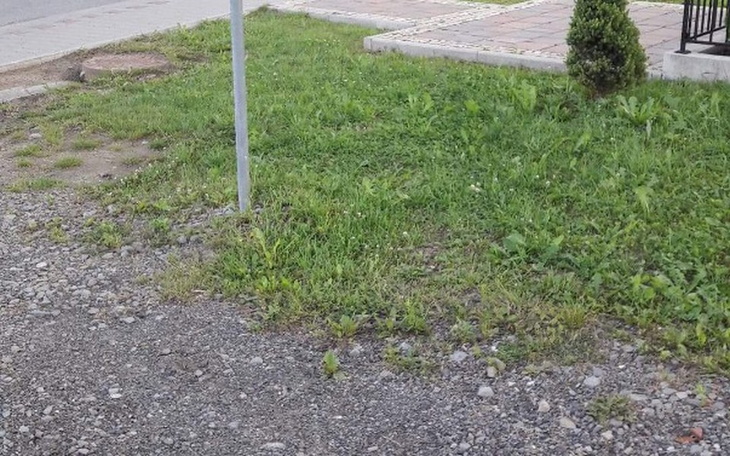 Zbiórka Ssjjsjs - zdjęcie główne