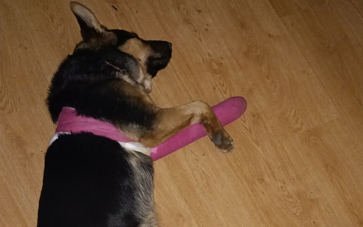 Zbiórka Kontynuacja leczenia pooperacyjn - zdjęcie główne