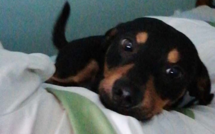 Zbiórka Pyrkon 2022 - zdjęcie główne