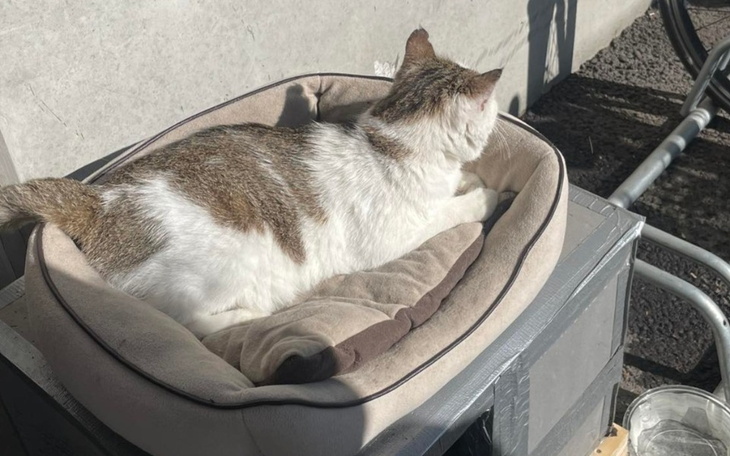 Zbiórka Karma na wrzesień - zdjęcie główne