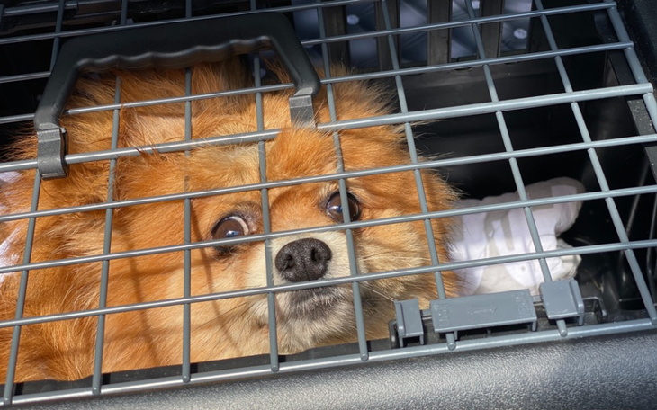 Zbiórka Wsparcie dla Tinki - zdjęcie główne