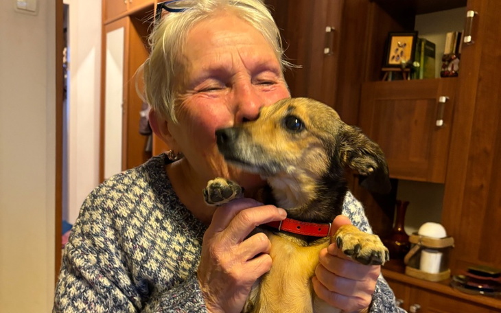 Zbiórka Pomóżmy uratować Figę - zdjęcie główne