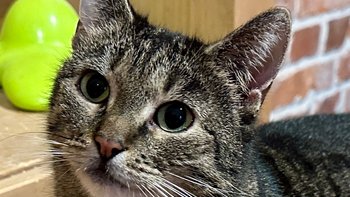 Zbiórka Zbiórka - marzec 2026 r. - miniaturka zdjęcia