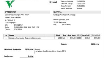 Zbiórka Płatność za weterynarza - miniaturka zdjęcia