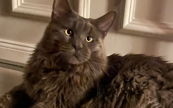 Zbiórka Zbiórka dla Arminka - zdjęcie główne