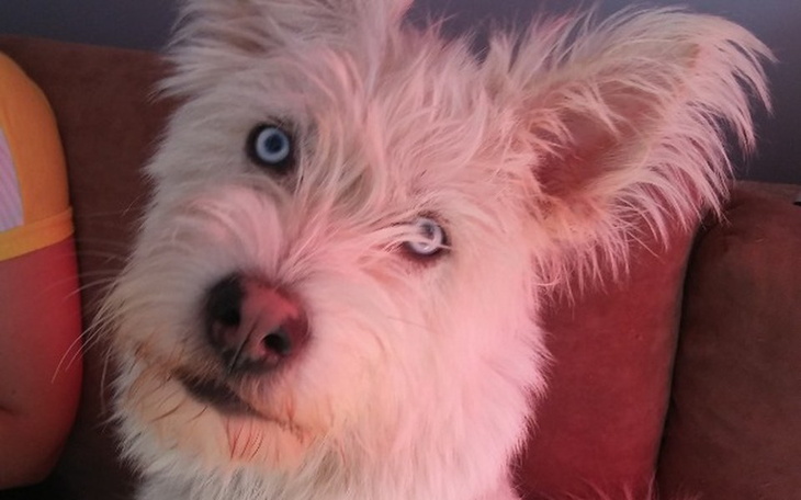 Zbiórka Hipnotyzujące życie - zdjęcie główne