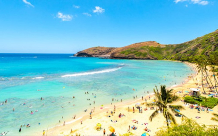 Zbiórka Zaręczyny na Hawajach - zdjęcie główne