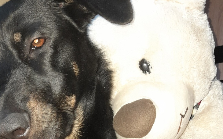 Zbiórka Bez zbiórki - zdjęcie główne