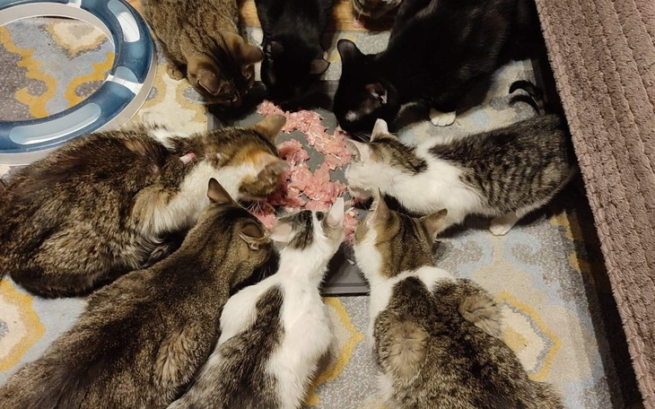 Zbiórka Prosimy, pomóż nam pomagać - zdjęcie główne