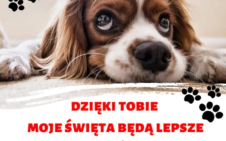 Zbiórka Pomóżmy im przetrwać zimę. - zdjęcie główne