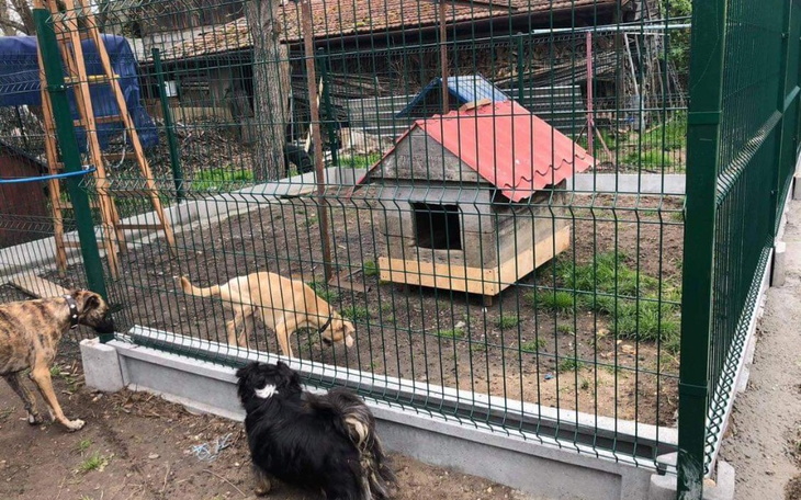 Zbiórka Dzięki niemu żyją, te i kolejne - zdjęcie główne