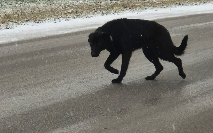 Zbiórka Nadchodzi pomoc.. - zdjęcie główne
