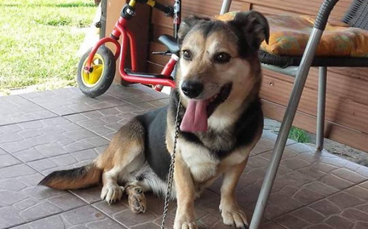 Zbiórka Mibusia kolejny miesiąc - zdjęcie główne