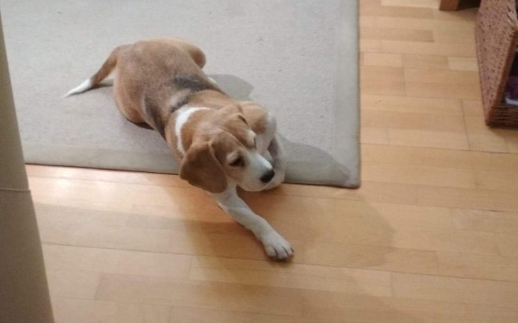 Zbiórka Leczenie nowotoru - zdjęcie główne