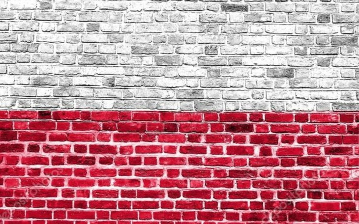 Zbiórka naszapolska.org - zdjęcie główne