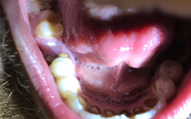 Zbiórka Chciałbym znów się uśmiechać - zdjęcie główne