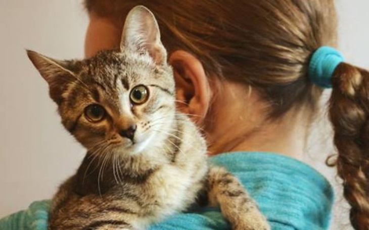 Zbiórka Szyszkowy rezonans - zdjęcie główne