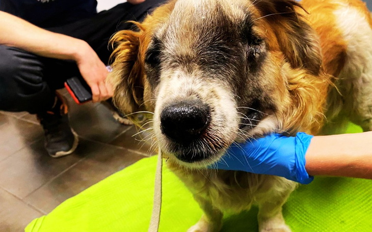 Zbiórka Muchomorek nie zasługiwał na nic - zdjęcie główne