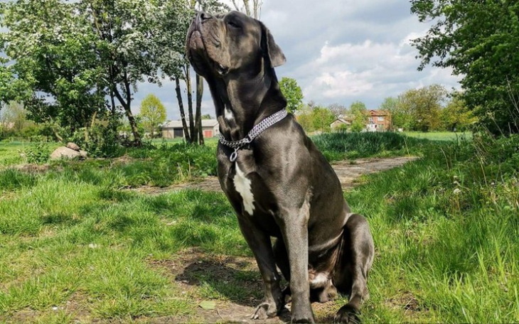 Zbiórka Operacja Ramba - zdjęcie główne