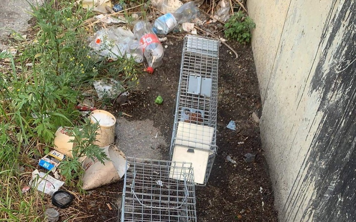 Porzucone klatki wśród śmieci na ulicy.