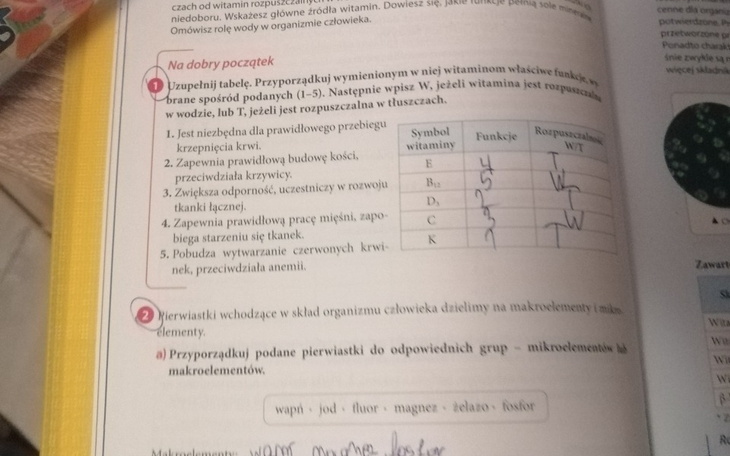 Zbiórka spłacić długi i spełnić marzenie - zdjęcie główne