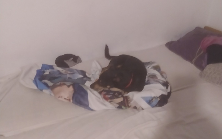 Zbiórka Opłata zaległych płatności - zdjęcie główne