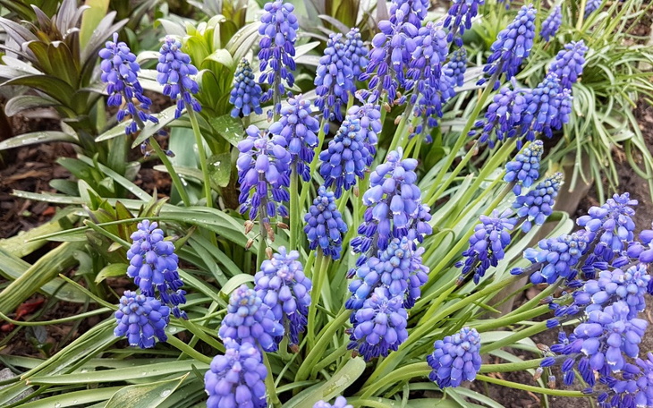 Zbiórka Wyjdę na prostą - zdjęcie główne