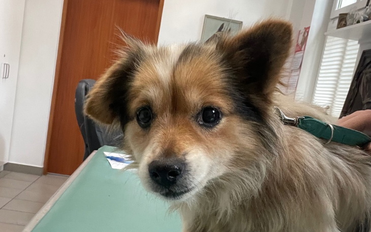 Zbiórka Niko uciekł z PIEKŁA - zdjęcie główne