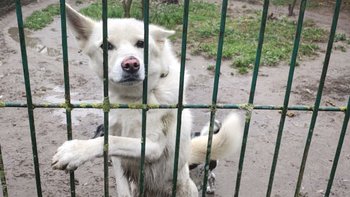 Zbiórka Jedyna szansa na życie.. - miniaturka zdjęcia