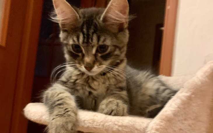 Zbiórka Filipek walczymy o życie. - zdjęcie główne