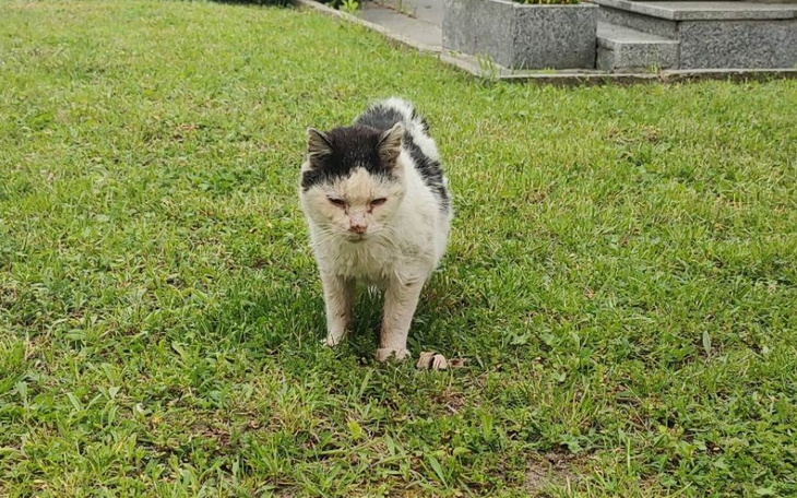 Zbiórka Pani Go Nie dotyka - zdjęcie główne