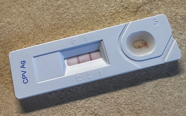 Zbiórka Śmierć czy życie .. - zdjęcie główne