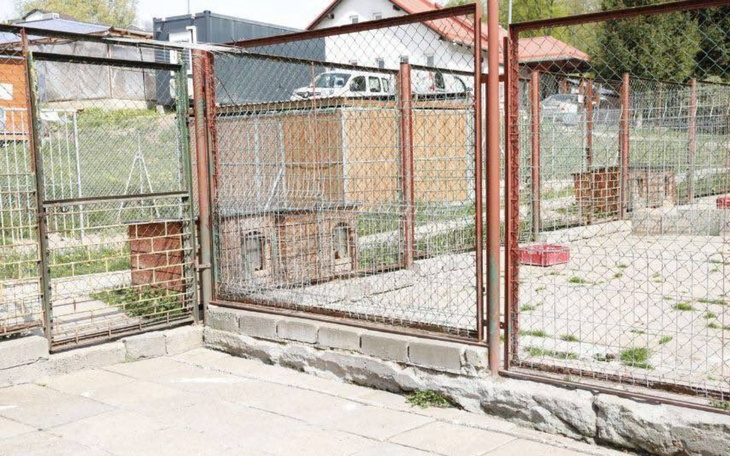 Widok na ogrodzenie schroniska dla zwierząt.