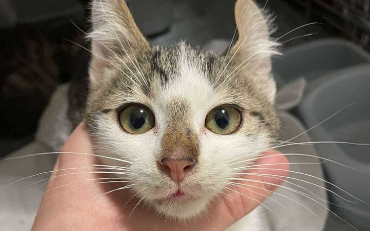 Zbiórka Szara codzienność - zdjęcie główne